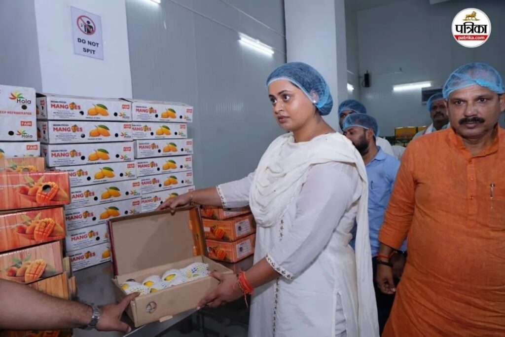 8000 किलो जर्दालू आम जाएगा दिल्ली, राष्ट्रपति-प्रधानमंत्री के लिए खेप तैयार; पीएम ने मन की बात में किया था जिक्र